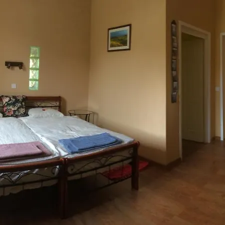 Guest house Tatanya Panzio 3*