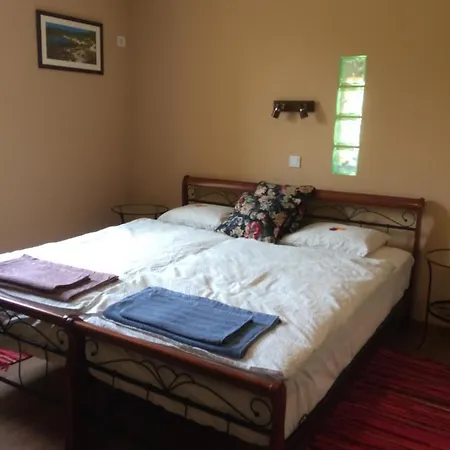 Tatanya Panzio 3* Tata