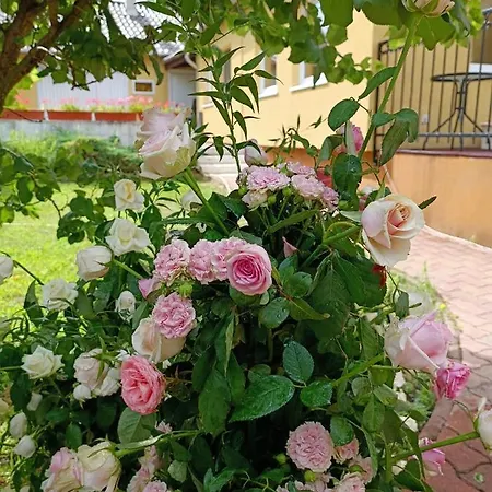 Tatanya Panzio Guest house Tata